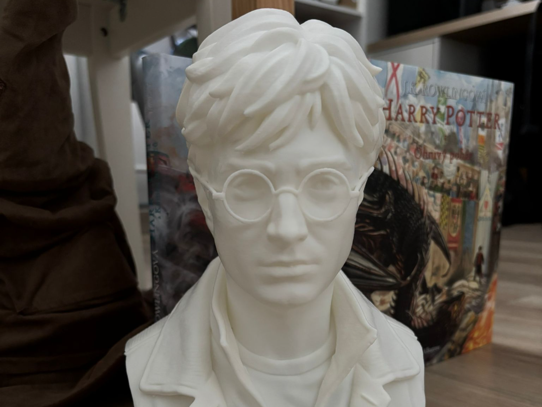 Harry Potter Buste