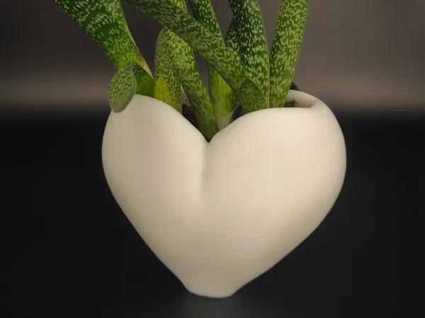 https://makerworld.bblmw.com/makerworld/model/USb1f82378690cf4/design/2024-09-19_9dc2b2e27f18.jpg