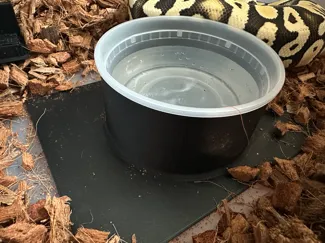 12 oz deli cup holders