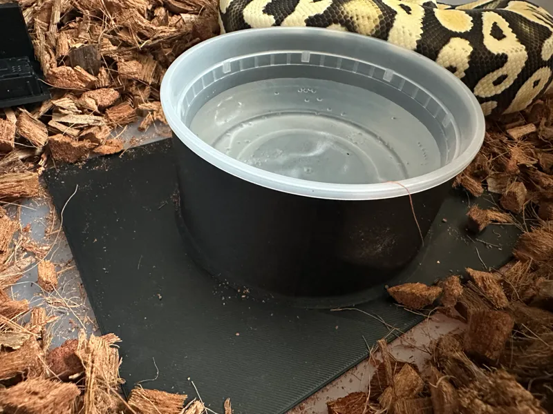 12 oz deli cup holders