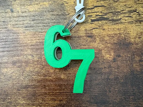 https://makerworld.bblmw.com/makerworld/model/USb1fed1717a6cd9/design/2025-11-22_32643c31d060c.jpeg