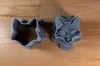Fox Face w/Design Medium