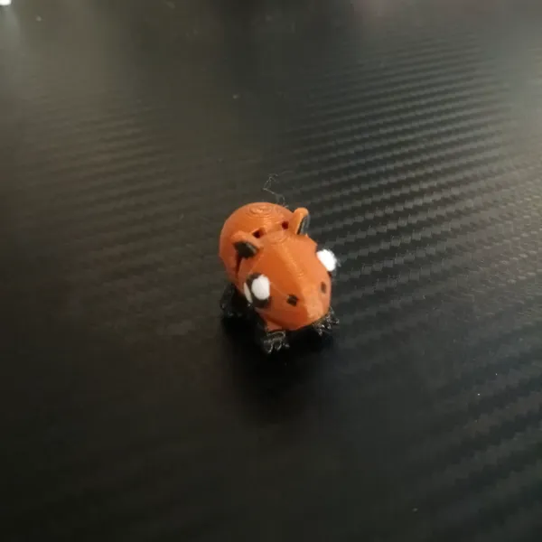 https://makerworld.bblmw.com/makerworld/model/USb208ae091c6c0f/design/2024-02-07_c79595f7afc24.jpg