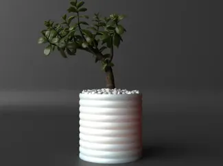 Round Torus Plus Vase / Planter
