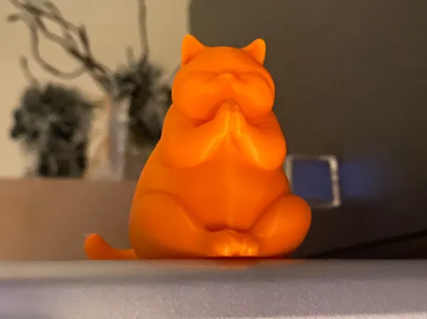 https://makerworld.bblmw.com/makerworld/model/USb20a08a5d13444/design/2026-01-09_d42cb71e37ec7.jpg