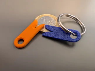 Tick Remover Keyring Tool