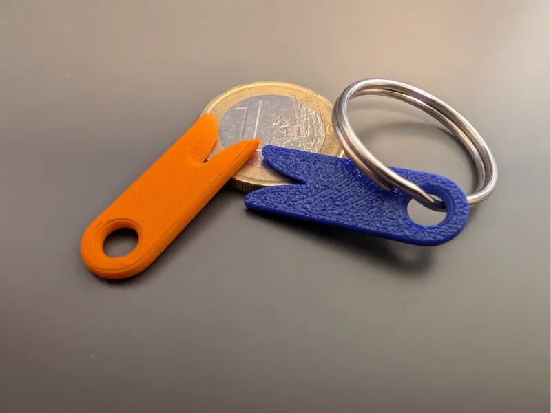 Tick Remover Keyring Tool