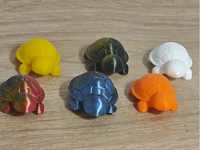 Petites tortues de poche mignonnes