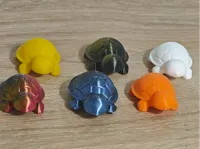 Petites tortues de poche mignonnes — photo 1