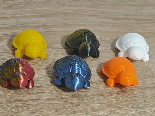 Petites tortues de poche mignonnes