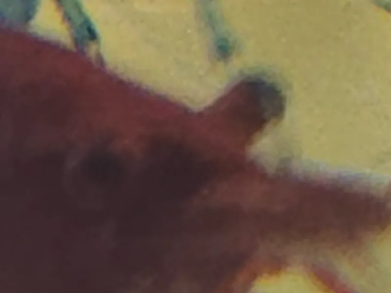 glass clip