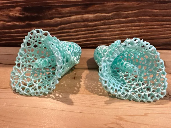 https://makerworld.bblmw.com/makerworld/model/USb20d77b9e05633/design/2025-01-26_156f3d6e19c69.png