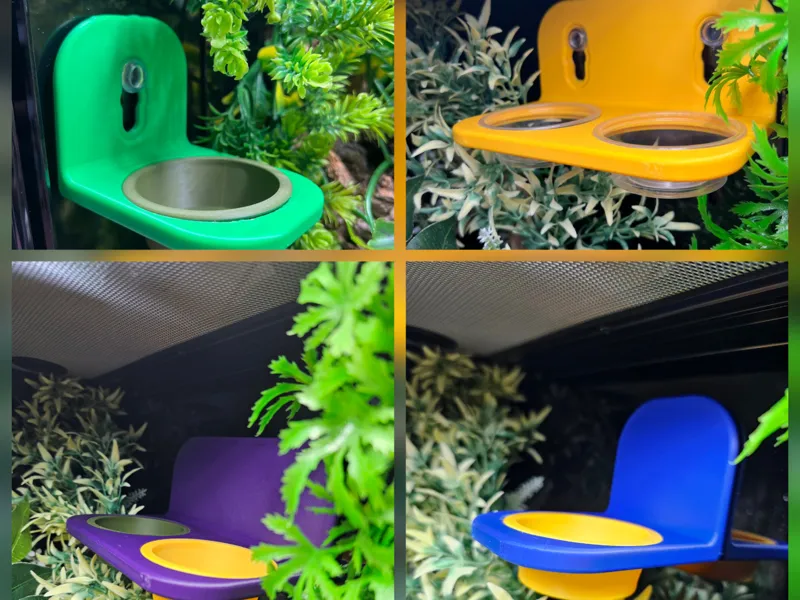 Pangea style large Reptile feeding ledge 