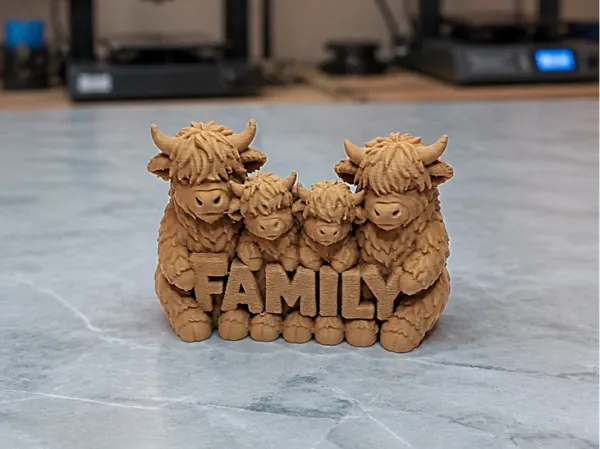 https://makerworld.bblmw.com/makerworld/model/USb20efc9d9922cc/design/355019b451e002fc.png