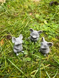 Souris domestique mignonne — photo 2