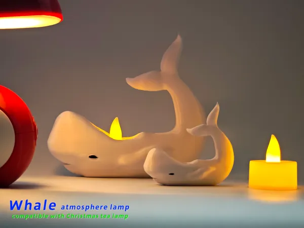 https://makerworld.bblmw.com/makerworld/model/USb211d05c645bf7/design/2024-11-24_bee4a420f2444.jpg