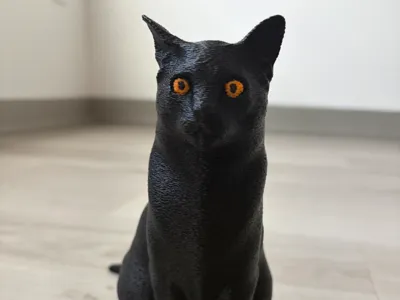 Black Cat
