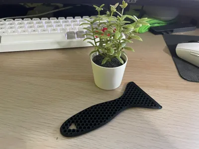 Printbed scraper
