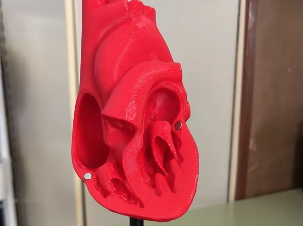 https://makerworld.bblmw.com/makerworld/model/USb21553d6cb88f3/design/2025-11-14_5a0af06b035dc8.jpeg