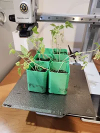 A1 Mini 6x Container
