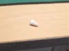 0.2mm nozzle, 0.06mm layer, 4 walls, 100% infill