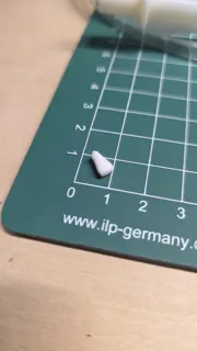 რძის კბილი მოდელი thumbnail 3