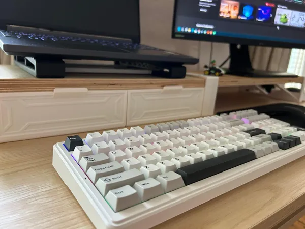 https://makerworld.bblmw.com/makerworld/model/USb21f84a42c19a7/design/2025-08-17_be15989773af98.jpeg