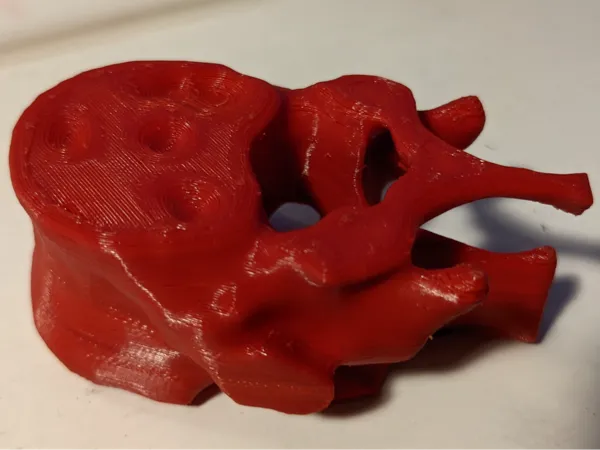 https://makerworld.bblmw.com/makerworld/model/USb223dd4634ad61/design/2024-08-30_ff2694369bb84.jpg
