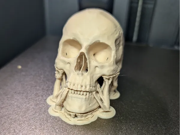 https://makerworld.bblmw.com/makerworld/model/USb227b9a218254f/design/73620f4d8058dc2d.jpg