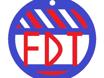 FDT Earring - 1 piece