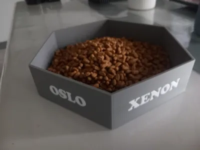 personalized cat bowl