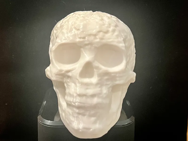 Cranium Skull – Anatomical Horror Model
