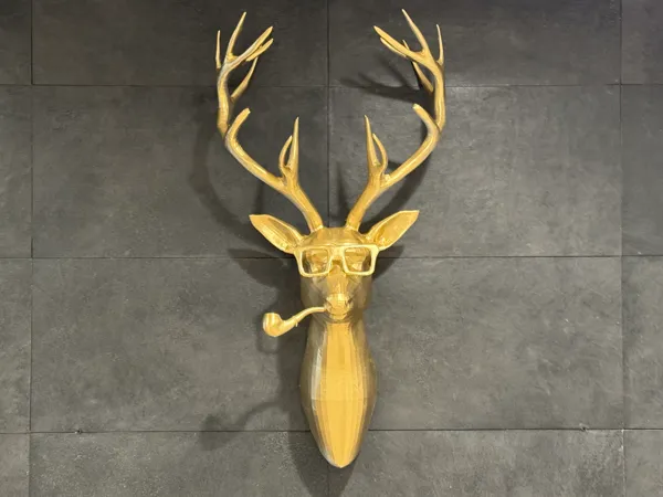 https://makerworld.bblmw.com/makerworld/model/USb23ce48c8f4898/design/2025-01-07_a2d28ed937a24.jpg