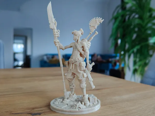 https://makerworld.bblmw.com/makerworld/model/USb23d8003aeabf4/design/2ce946f933071597.jpg