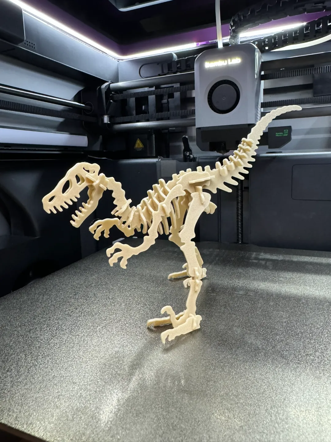 Velociraptor Kit Card view 2
