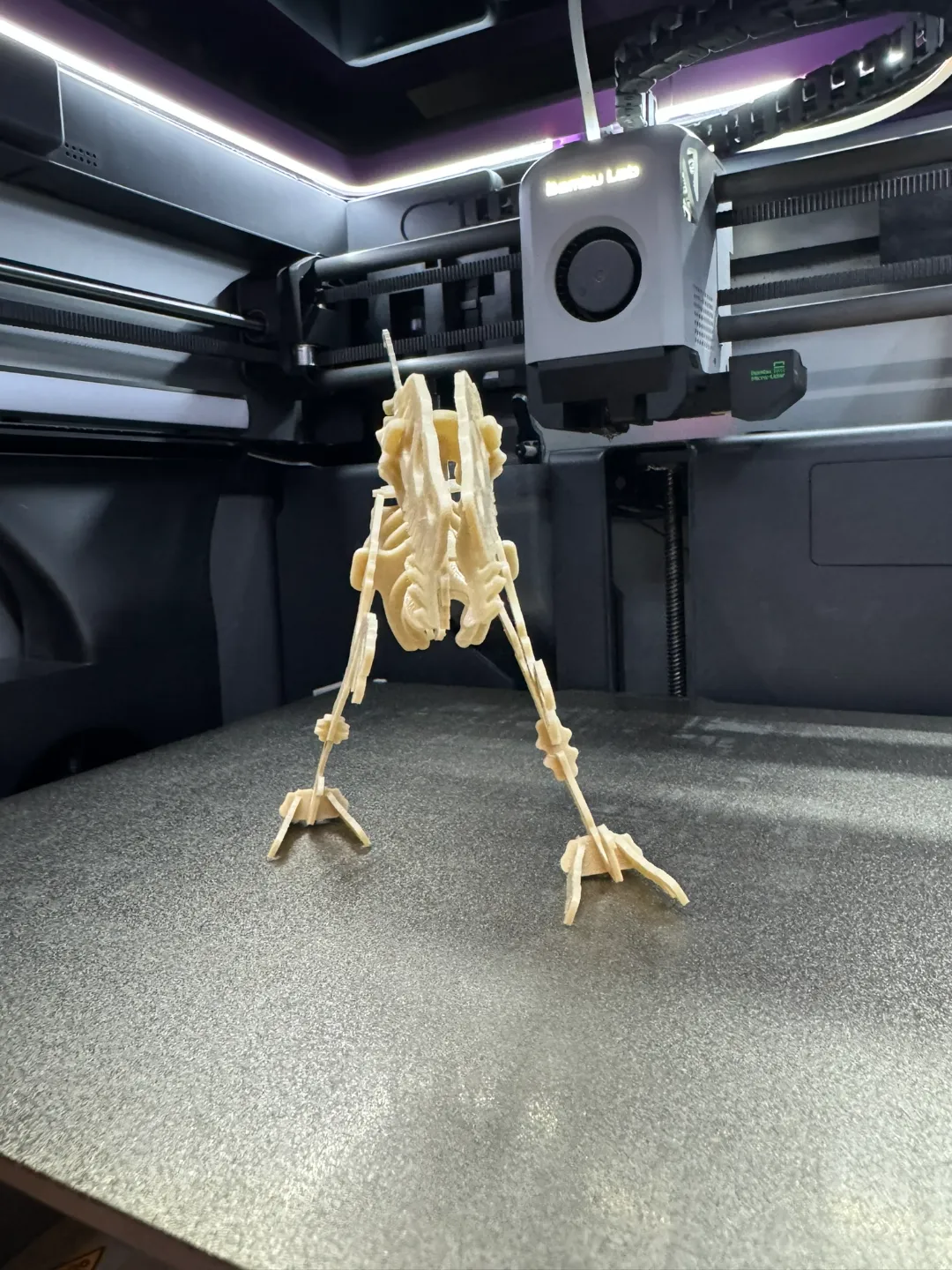 Velociraptor Kit Card view 3