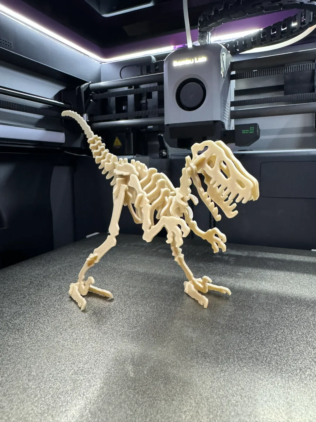 Velociraptor Kit Card view 4