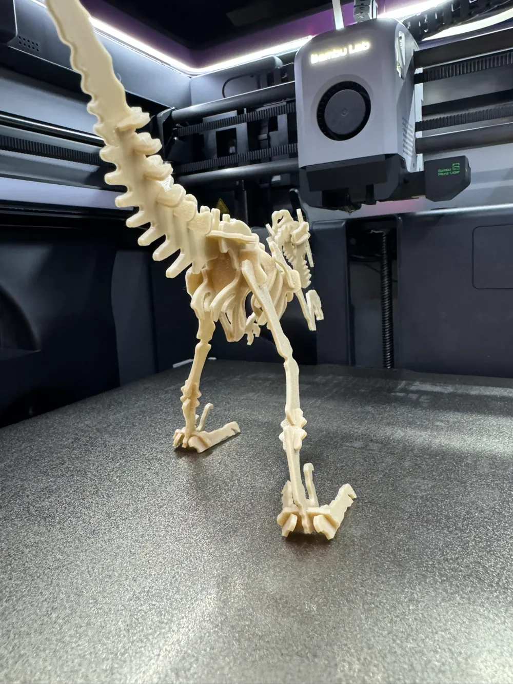 Kit Card Velociraptor - Modello di stampa 3D gratuito - MakerWorld, image size:1000x1333