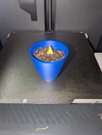 Small modern pot