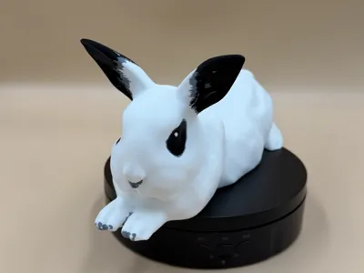 Theo The Bunny