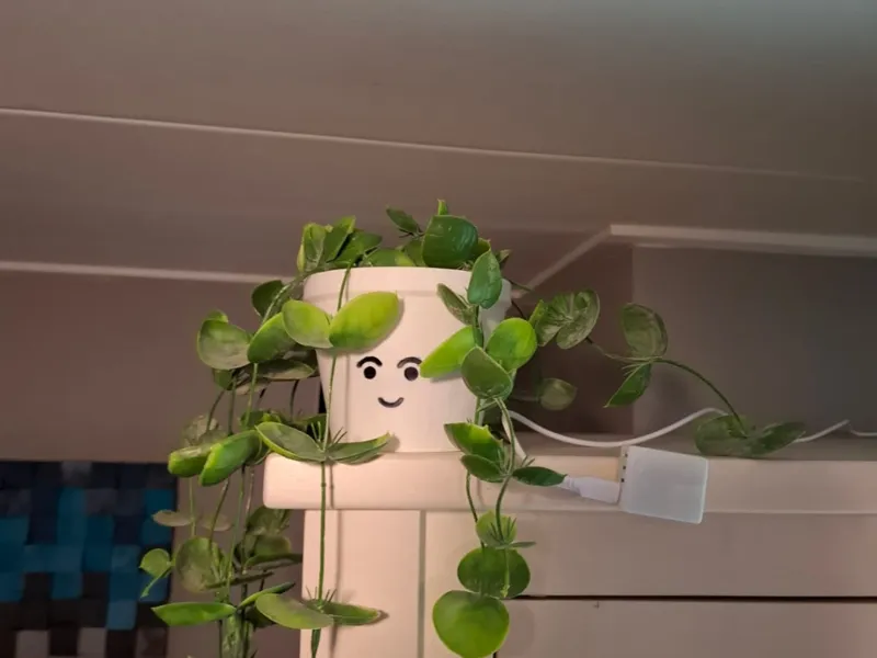 happy pot