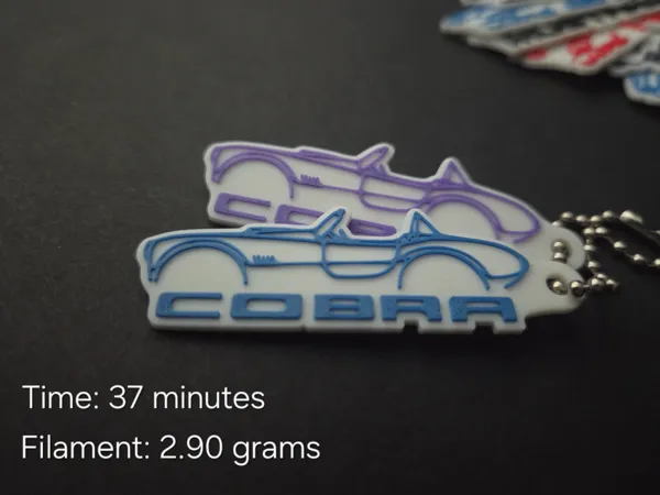 https://makerworld.bblmw.com/makerworld/model/USb2432a9484bed3/design/2025-12-01_c6e2a88c1d85f8.jpg