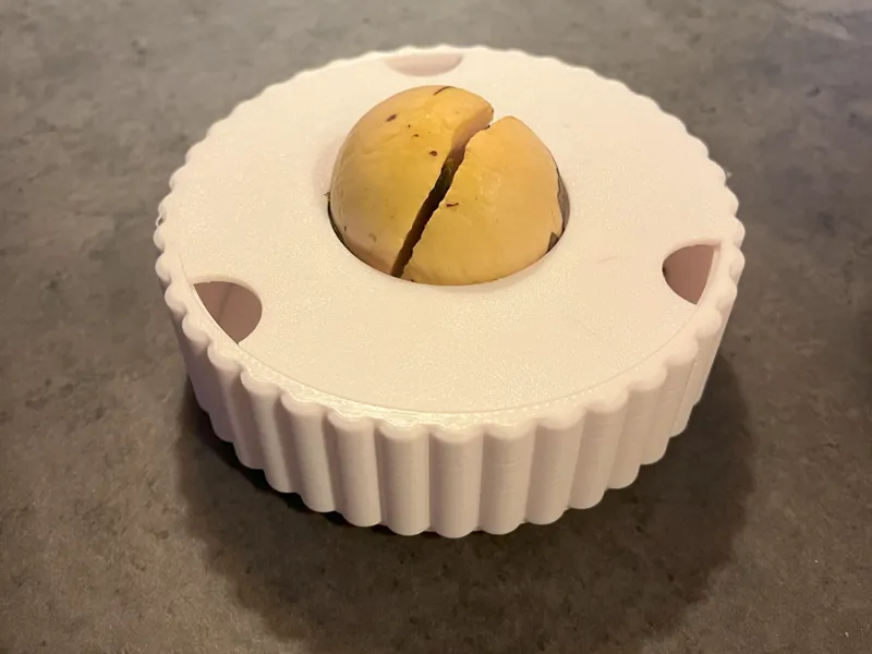 Avocado Starting pot