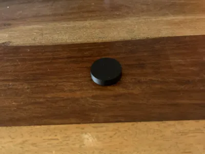 Hockey Puck