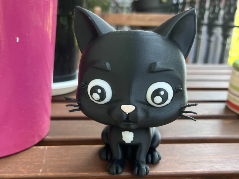 cute kitty