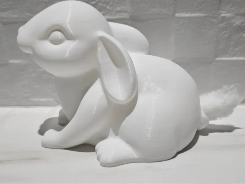 BUNNY COTTON