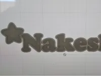 0.2mm layer, 2 walls, 10% infill