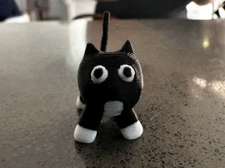 Tuxedo Silly Kitty
