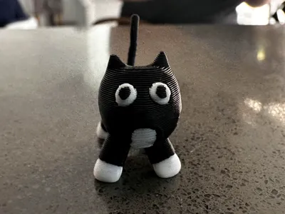 Tuxedo Silly Kitty