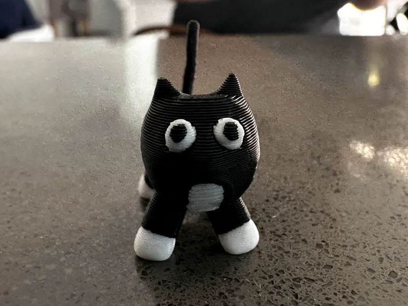 Tuxedo Silly Kitty
